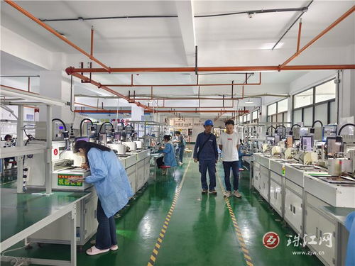 破解电子厂用电难题，会泽供电局以可靠电力为地方企业注入强劲动能